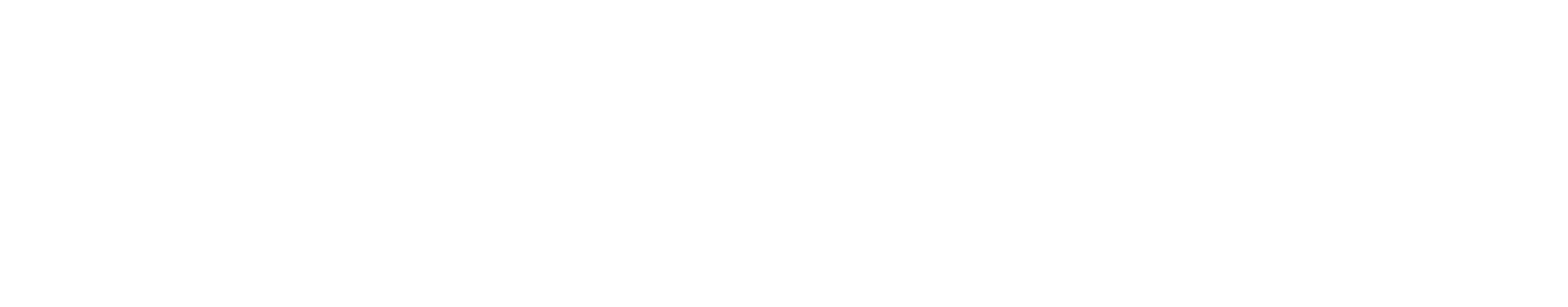 Castle Alarm Company